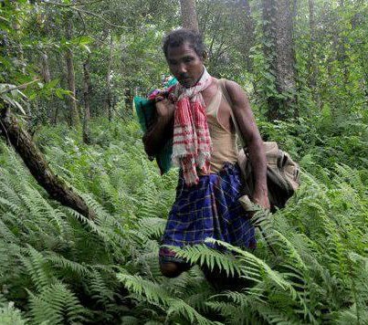 அசாம் மாநிலத்தை சேர்ந்த ஒரு கிராமவாசி திரு.ஜாதவ் பயேங். அங்குள்ள மக்கள் இவரை 'முலாய்' என அழைக்கின்றனர். பிரம்மபுத்திரா நதியில் 1979 ஆம் ஆண்டில் வெள்ளத்தில் அதிக அளவில் பாம்புகள் அடித்து வர பட்டிருக்கிறது. வெள்ளம் வடிந்த பின் மேலும் பல ஊர்வன இறந்த நிலையில் அங்கே கிடந்திருக்கின்றன. மரங்கள் இன்றி அதிகரித்த வெப்பத்தினால் தான் இந்நிலை என புரிந்து கொண்டபோது இவரது வயது 16 ! பின் இது சம்பந்தமாக வனத்துறையை அணுகி விசாரித்த போது ஆற்றின் நடுவே உள்ள அந்த மணல் படுகையில் மரங்கள் எதுவும் வளராது மூங்கில் மரம் வேண்டுமானால் வளரலாம்,முடிந்தால் முயற்சி செய்து பாருங்கள் என்று சொல்லி இருக்கிறார்கள்...ஒருவரும் உதவி செய்யாத போது தனி நபராக செயலில் இறங்கி விட்டார். 1980 ஆம் ஆண்டில் அசாமில் உள்ள ஜோர்ஹாட் மாவட்டத்தில் கோகிலமுக் இடத்துக்கு அருகில் 200 ஹெக்டேர் மணல் படுகையில் 'சமூககாடுகள் வளர்ப்பு' திட்டத்தின் படி வனத்துறையினர், மற்றும் தொழிலாளர்களும் இணைந்து மரக் கன்றுகளை நடும் திட்டம் தொடங்கப்பட்டது, பணி முடிந்ததும் மற்றவர்கள் சென்று விட இவர் மட்டும் மரகன்றுகளை பராமரித்து கொள்ள அனுமதி கேட்டு அங்கேயே தங்கி விட்டார். பின்னர் வனத்துறையினரும், மற்றவர்களும் இதனை அப்படியே மறந்துவிட்டனர், அந்த பக்கம் யாரும் எட்டி கூட பார்க்கவில்லை...!