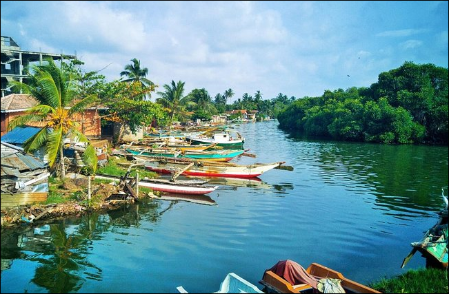 நீர்கொழும்பு : வாழ்வும் வளமும் - அங்கம் -02 - நிகும்பலையூர் குளங்களின் மறுபக்கம் !