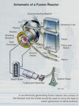 Fusion Reactor