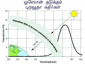 ozone & uv rays