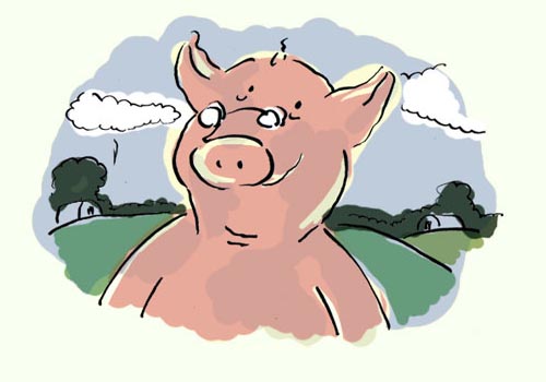 ROALD DAHL எழுதிய ‘PIG’ கவிதையில் வரும் பன்றி புத்திசாலி. நிறைய படித்து படித்து அதற்கும் ‘தேடல்’ அதிகமாகி விடுகிறது. ‘இந்த வாழ்க்கை எதற்காக. நான் பன்றியாக இந்த பூமியில் பிறந்ததன் நோக்கம் என்ன?’ என்று தத்துவக் கேள்விகளை தனக்குத்தானே கேட்டுக்கொண்டு பலமாக யோசிக்கிறது