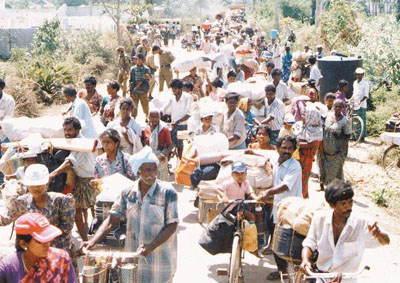 Jaffna Life