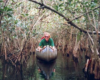 Mangrove